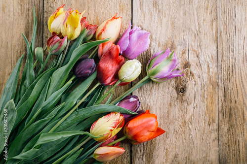 multicolored tulips on a wooden background  old boards  spring flowers  tulips on boards