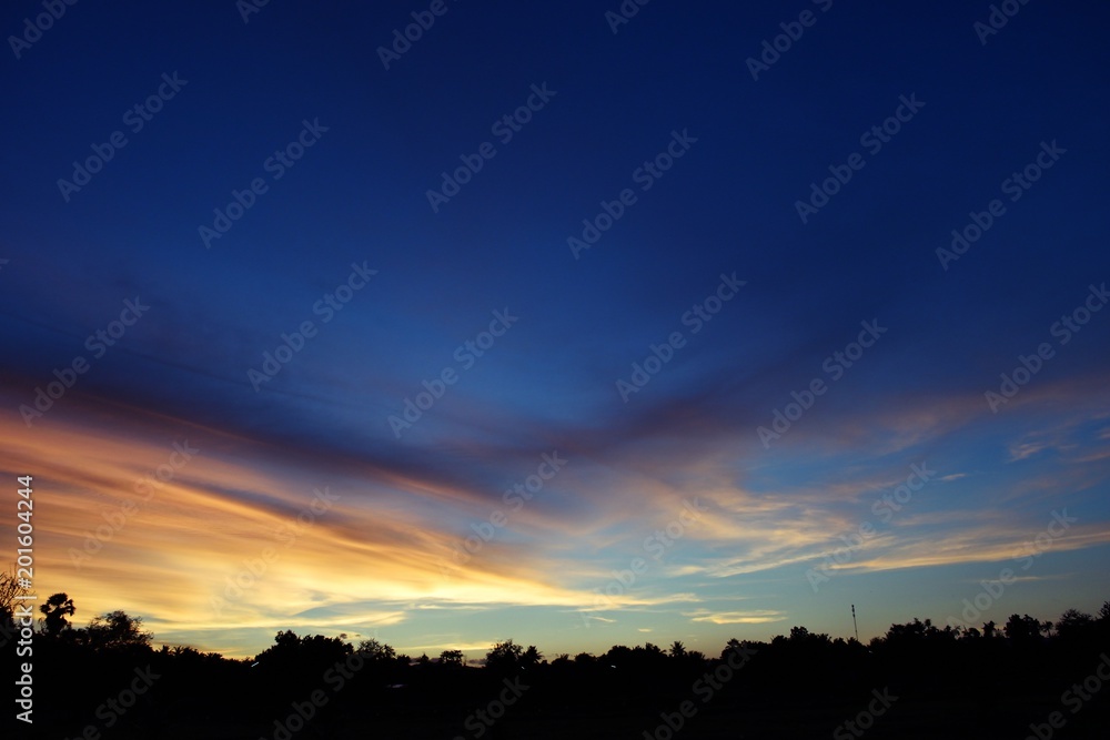 Silhouette of  trees with beautiful blue sky at sunset,Photos back - light at the horizon began to turn orange with purple and pink cloud
