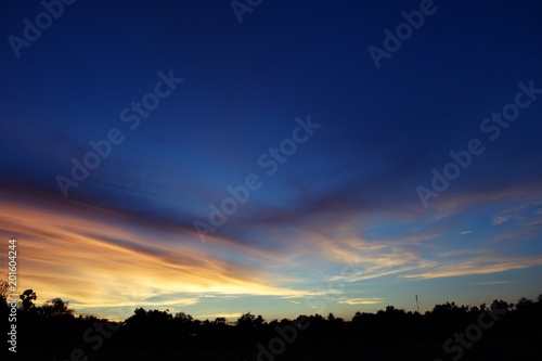 Silhouette of trees with beautiful blue sky at sunset,Photos back - light at the horizon began to turn orange with purple and pink cloud 