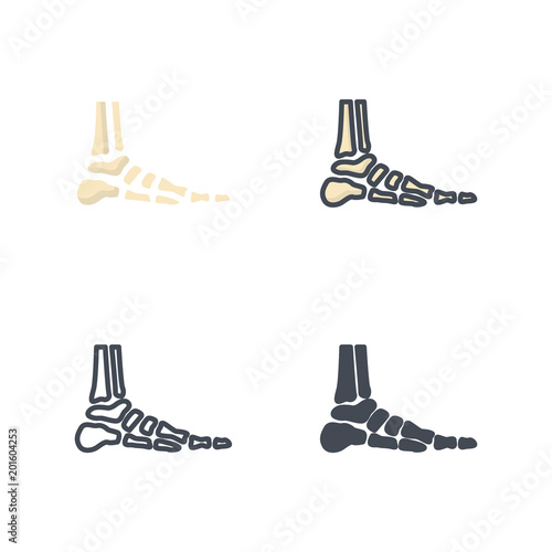 Foot human bone medical icon vector flat silhouette colored line