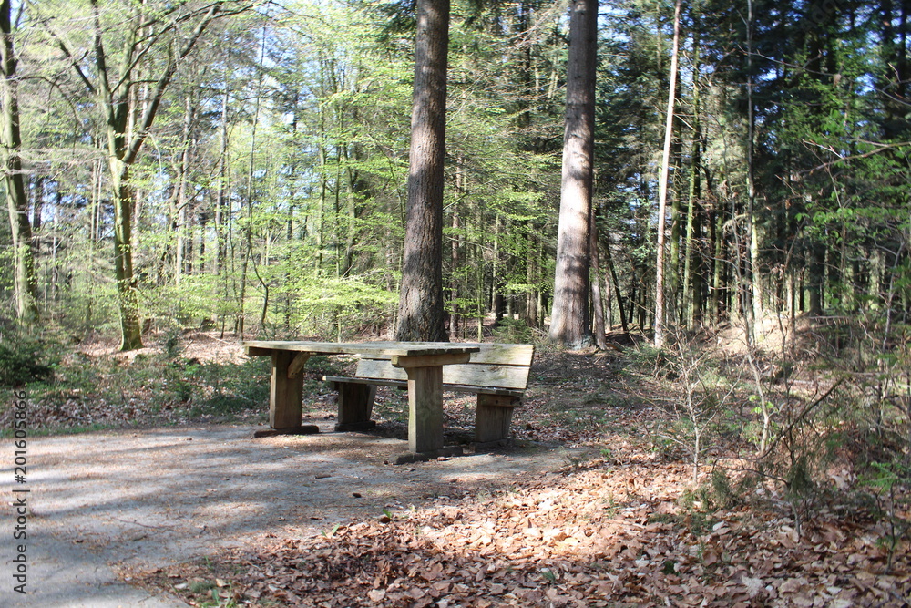 Park Bench In A Forest
