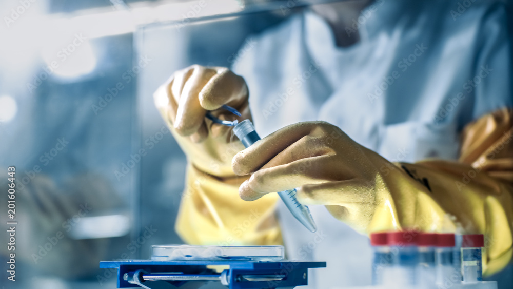 Close-up Shot of Scientists Hands with Samples in Isolation Glove Box. She's in a Modern Laboratory Equipped with State of the Art Technology. - obrazy, fototapety, plakaty 