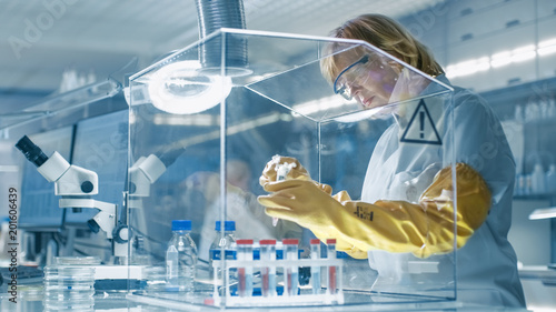 Senior Female Epidemiologist Works with Samples in Isolation Glove Box. She's in a Modern, Busy Laboratory Equipped with State of the Art Technology. photo