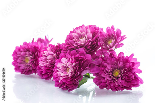 Fototapeta Naklejka Na Ścianę i Meble -  bouquet of beautiful chrysanthemums
