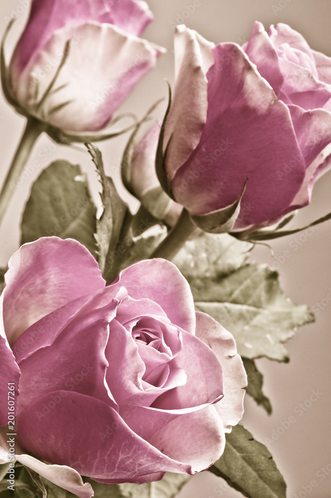 Fototapeta premium bunch bouquet of flowers pink roses in romantic soft vintage retro colors in full frame 