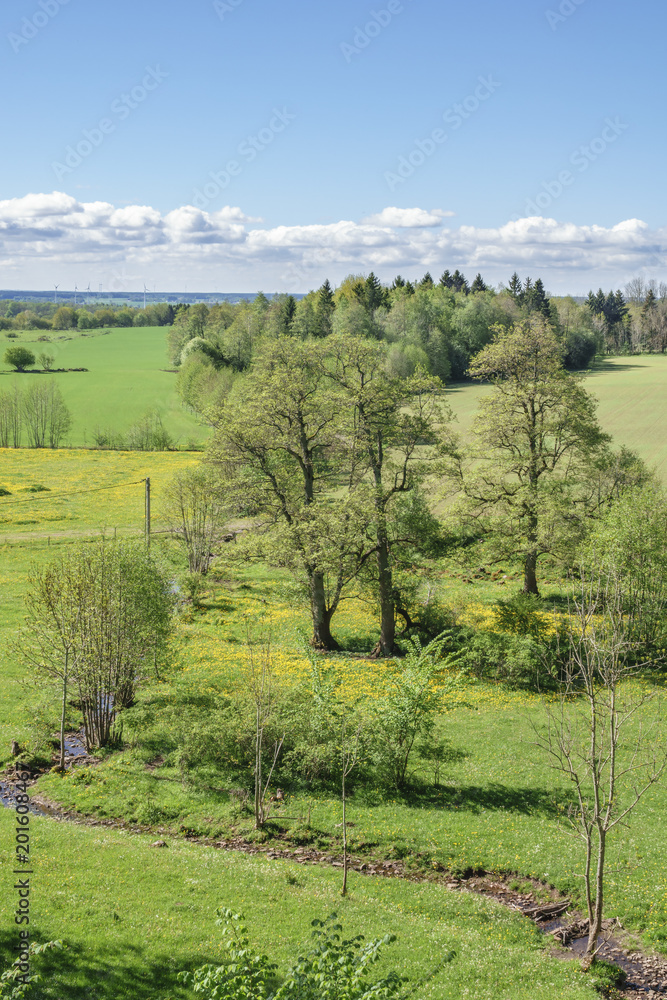 Meandering creek in a rural landscape view