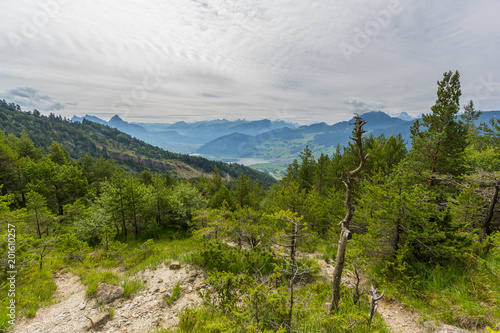 view from landslide area at Gnipen Rossberg mountain to Swiss Alps