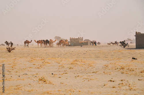 Village on the area of the Sahara desert in north Chad 