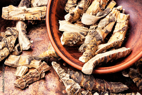 Φωτογραφία Acorus calamus root