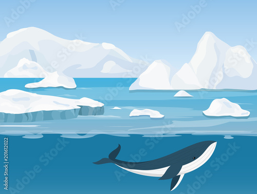 Fotografia, Obraz Vector illustration of beautiful arctic landscape of northern and Antarctic life
