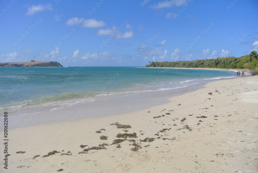 Beach Martinique
