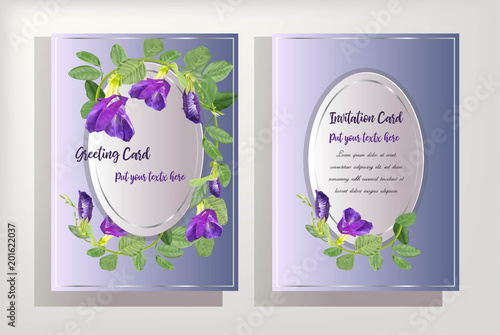 butterfly pea flower on card