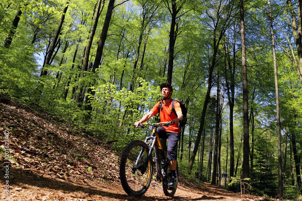 Mountainbiker im sommerlichen Wald