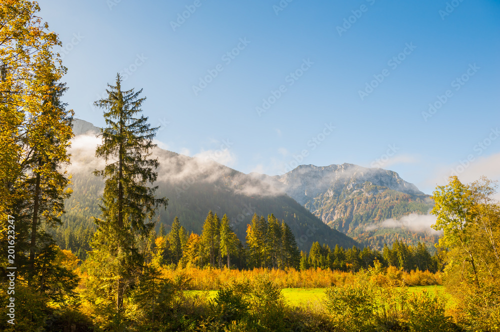 Autumn forest and mountains with clouds at sunrise. Alps mountains, Austria