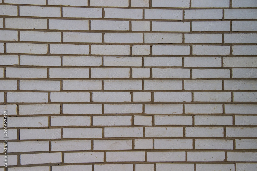 Fototapeta premium bricks texture