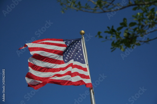 American Flag Stars and Stripes Waving Clear Blue Sky in Afternoon Sun with Tree Leaves Above Right