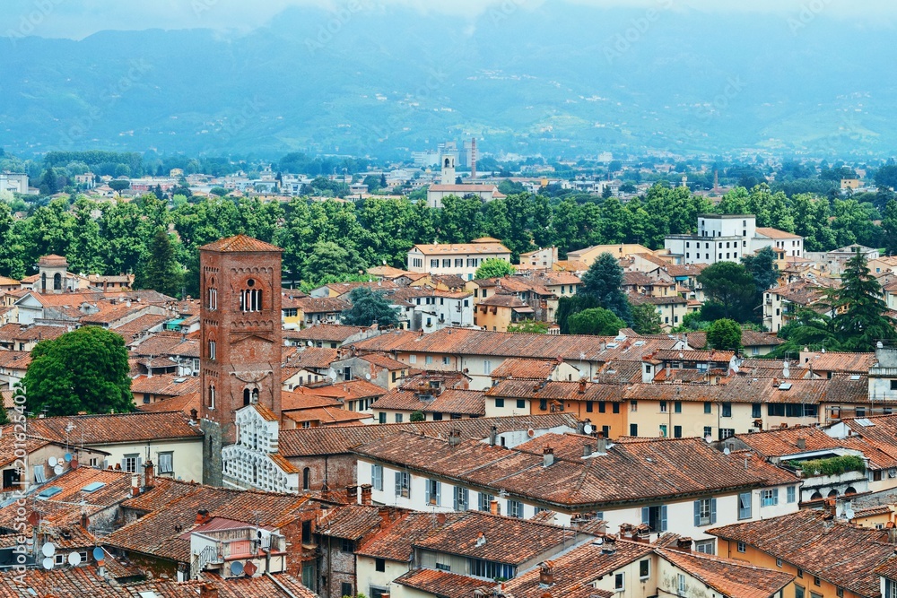Lucca skyline tower