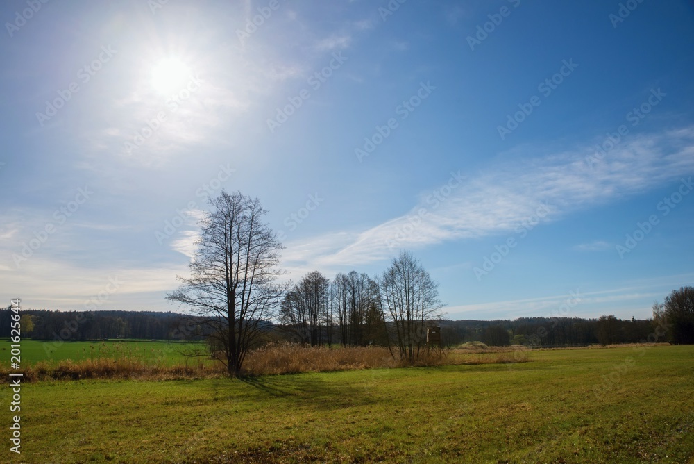 Fototapeta premium Wetlands lanscape in spring.