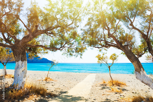 Fototapeta Naklejka Na Ścianę i Meble -  Beautiful beach in Crete island, Greece.