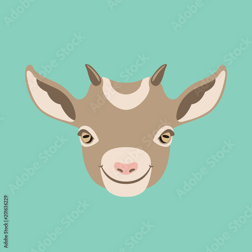 goat  face head vector illustration flat style front