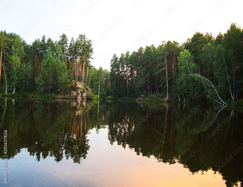 the forest is reflected in the water in the setting sun