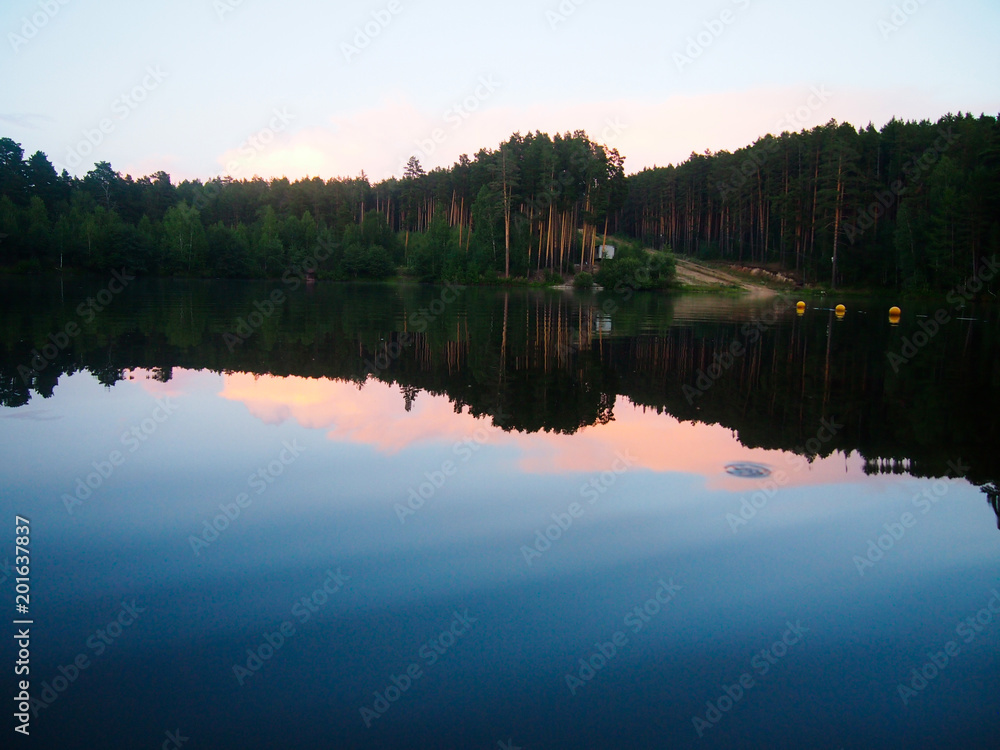 the forest is reflected in the water in the setting sun