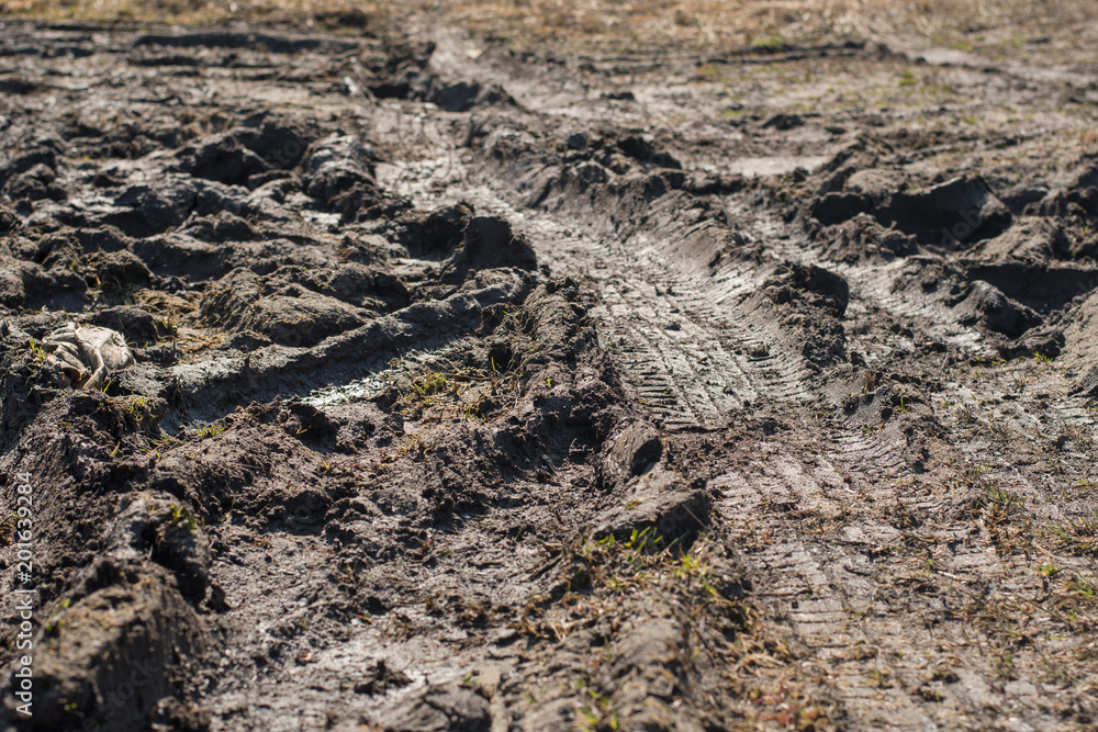 muddy road. car tracks