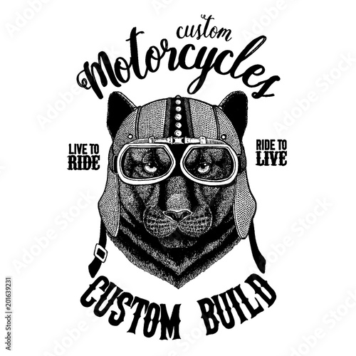 Panther Puma Cougar Wild cat Biker, motorcycle animal. Hand drawn image for tattoo, emblem, badge, logo, patch, t-shirt
