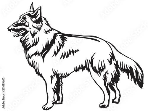 Decorative standing portrait of Belgian Shepherd Tervuren vector illustration