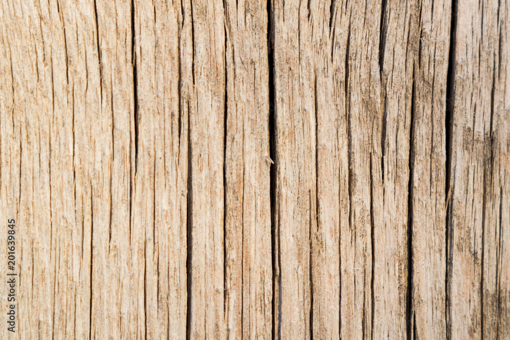 old wood texture old wood texture