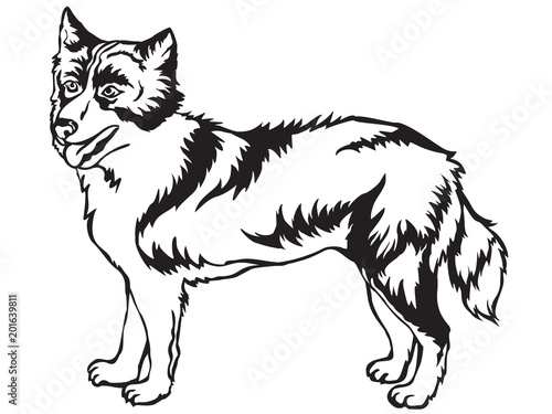 Decorative standing portrait of Yakutian Laika vector illustration