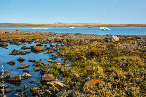 Bay near Fort Ross. Anchorage near ice. 