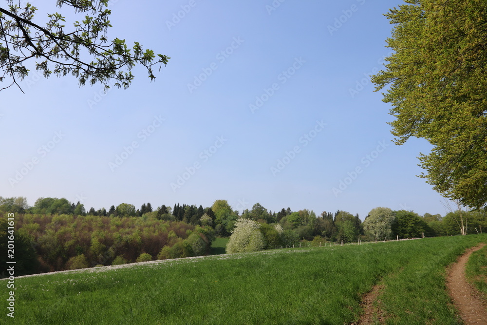 Naturlandschaft im Fühling mit Wanderweg Naturlandschaft im Fühling mit Wanderweg