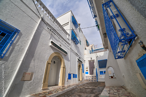 Typical Hammamet city street with civil buildings. Tunis, north Africa. © Viacheslav