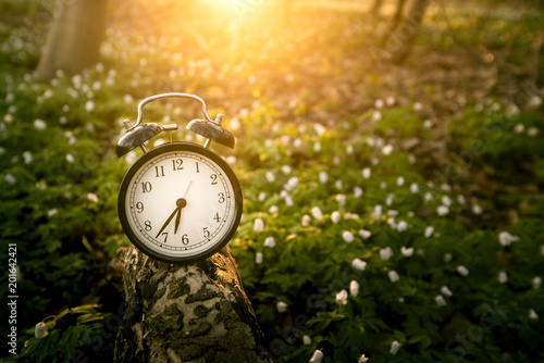 Alarm clock in the sunrise over a forest