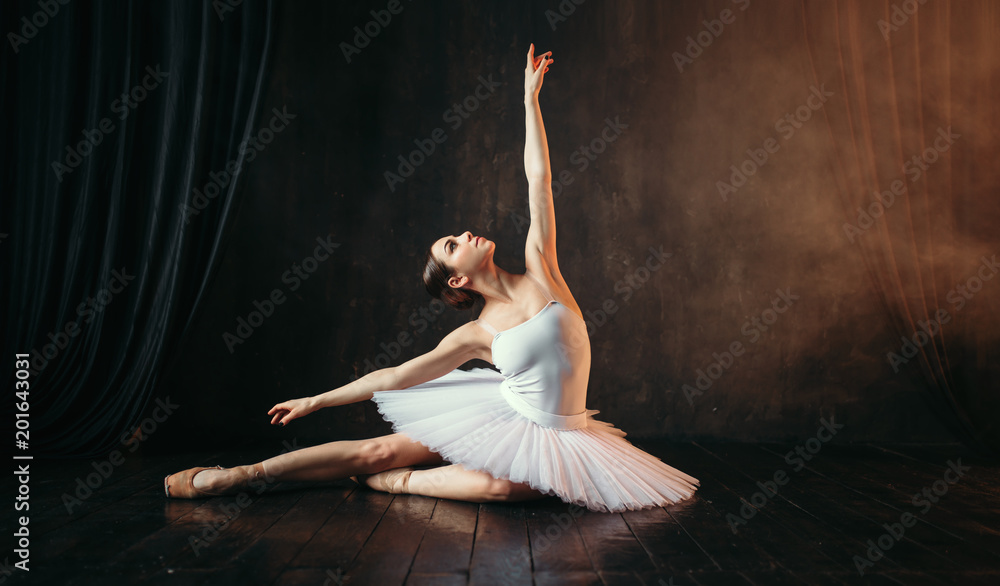 Fototapeta premium Grace of ballerina in motion on theatrical stage