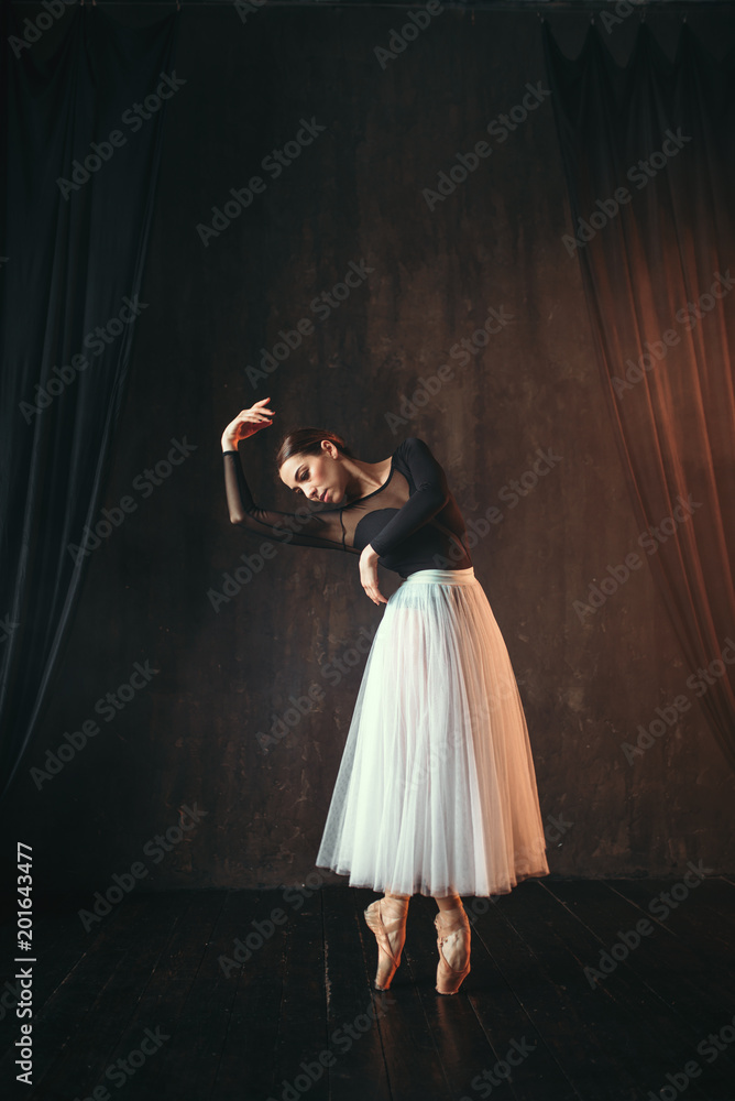 Fototapeta premium Classical ballet dancer in motion on the stage