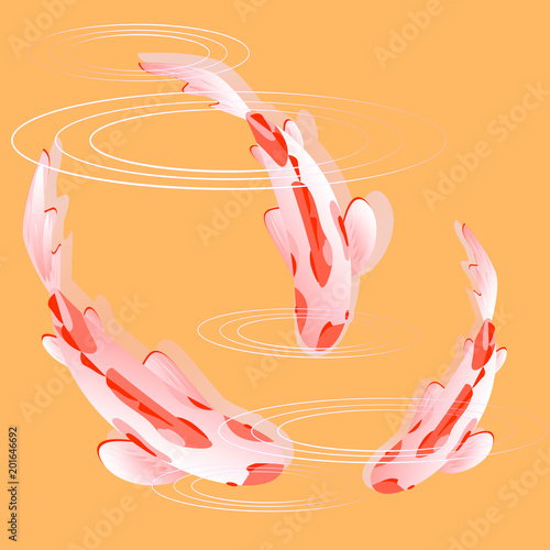 Set with fish, carp koi in water. Vector illustration, Cyprinus Carpio.