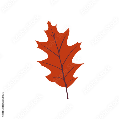 Autumn Leaf, Autumn Background