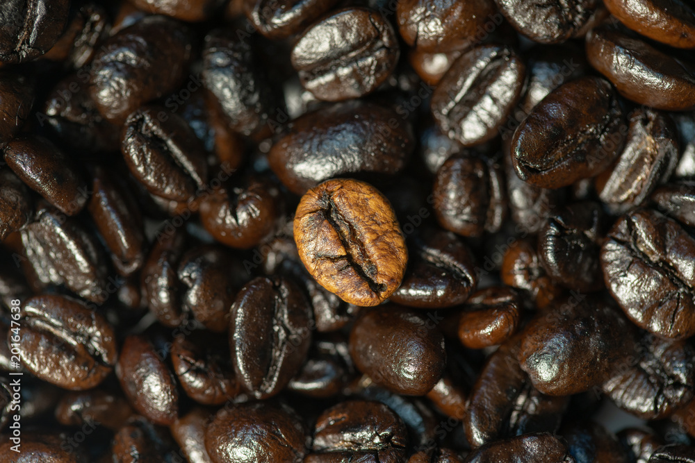 Coffee Bean Pattern Coffee Bean Pattern
