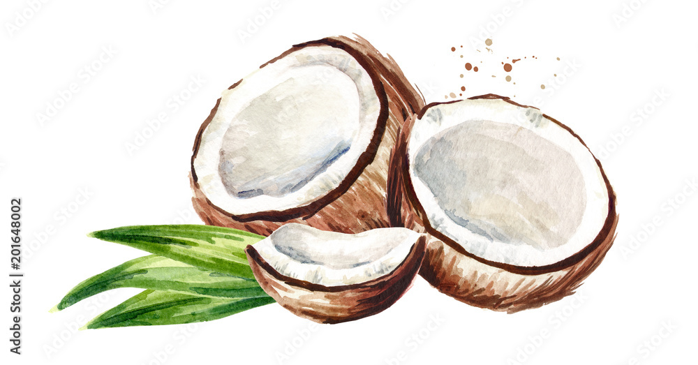 Fototapeta premium Cracked coconut with green leaves. Watercolor hand drawn illustration, isolated on white background