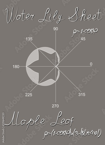 Algebraic models of the maple leaf and water lily sheep, constructed in the polar coordinate system and the trigonometric formulas of this graphs. Teacher's Manual. educational card in vector.