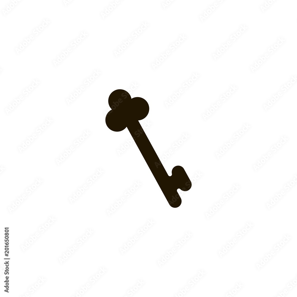 Key icon. flat design Key icon. flat design