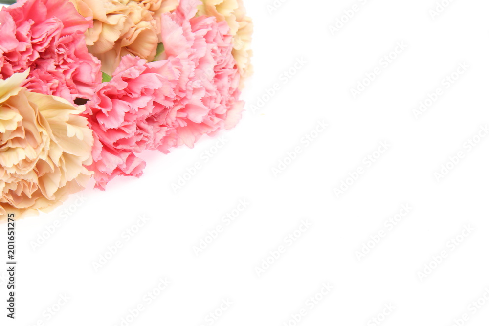 Obraz premium カーネーションの花束 