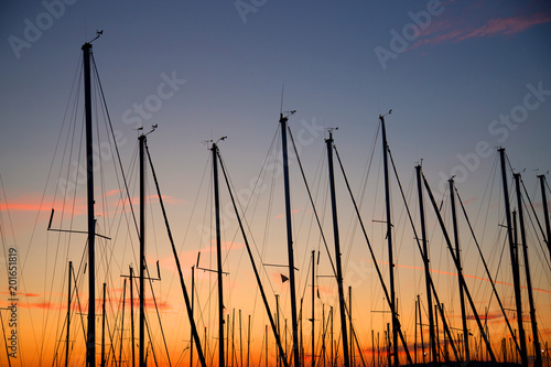 Row of masts during sunset