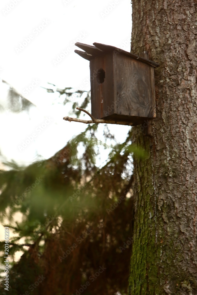 A breeding box made by people and hanged on a tree to help birds multiply.