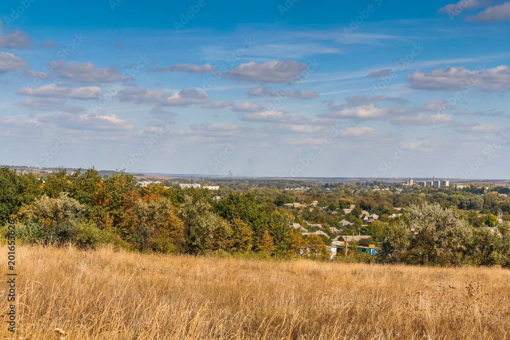 Obraz premium Protective forest stands in the steppe