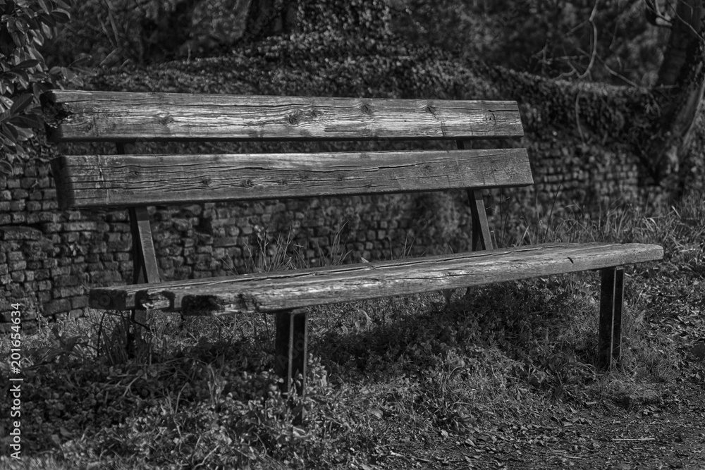 Fototapeta premium One wooden bench on sunny day in Italy, public parkland