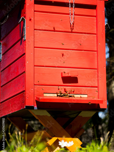 a beautiful wooden red beehive with bees flying into it standing in the middle of a green forest on a sunny day