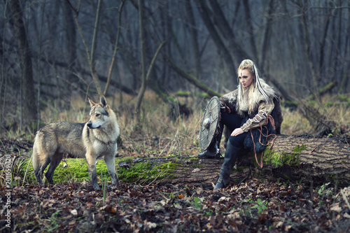 Fotografie Viking warrior woman with ax and shield, next to an wild wolf, looking for dange